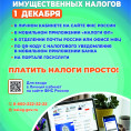 Об уплате имущественных налогов физических лиц и НДФЛ за 2024 год